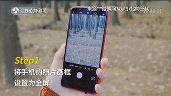 难为情手机在线观看,揭秘网络直播背后的情感纠葛